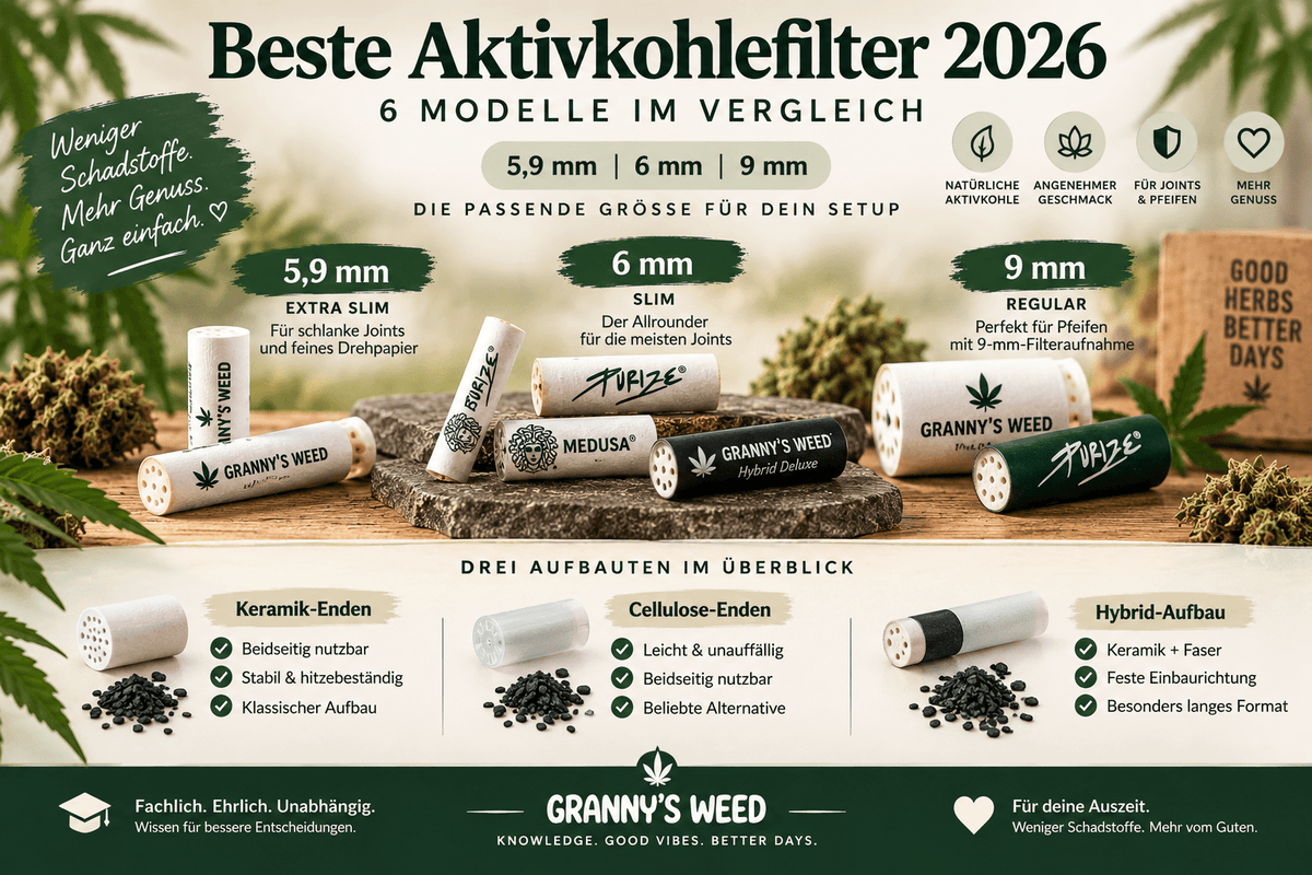 Beste Aktivkohlefilter: 6 aktuelle Modelle im Vergleich