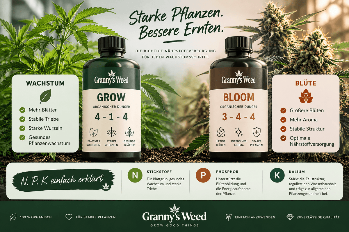 Bester Dünger für Cannabispflanzen: 5 Systeme im Vergleich