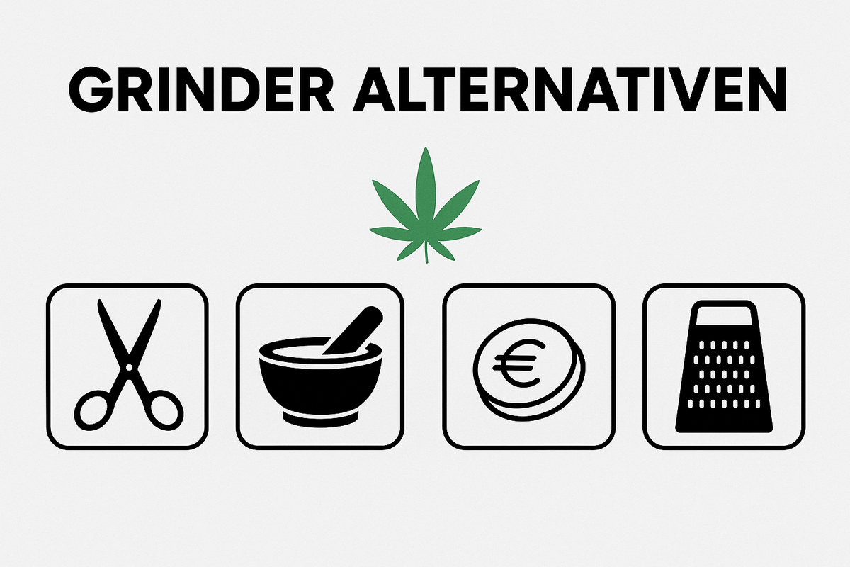 Grinder-Alternativen Infografik