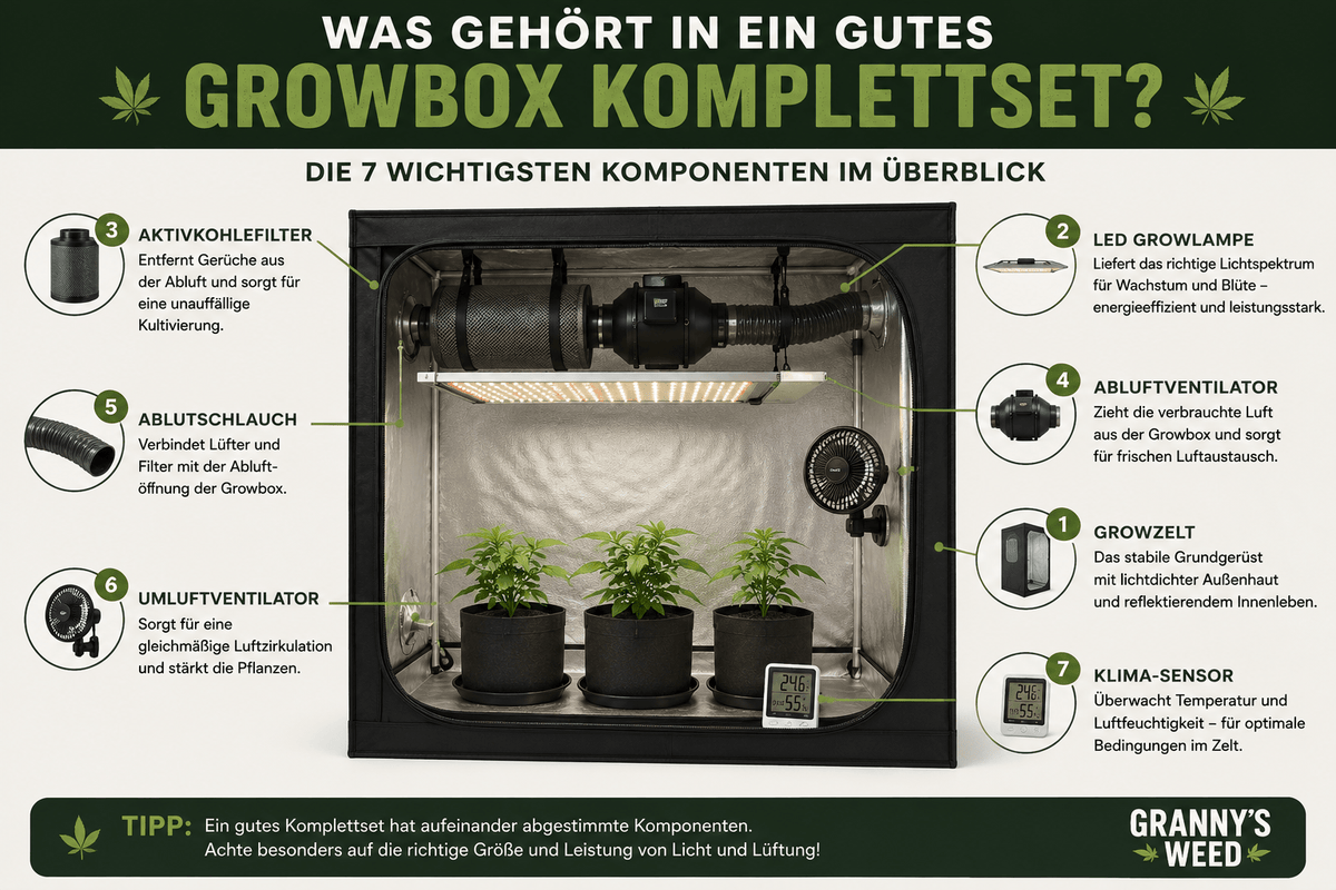 Aktivkohlefilter Growbox: Größe, Leistung & Wechsel erklärt