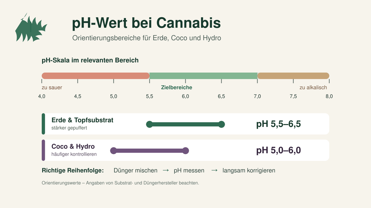pH-Wert bei Cannabis: Richtige Werte für Erde und Hydro